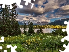 Meadow, Wildflowers, Mountains, lake, clouds
