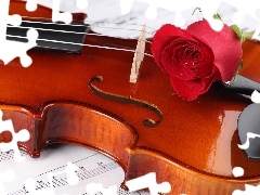 red hot, Tunes, violin, rose